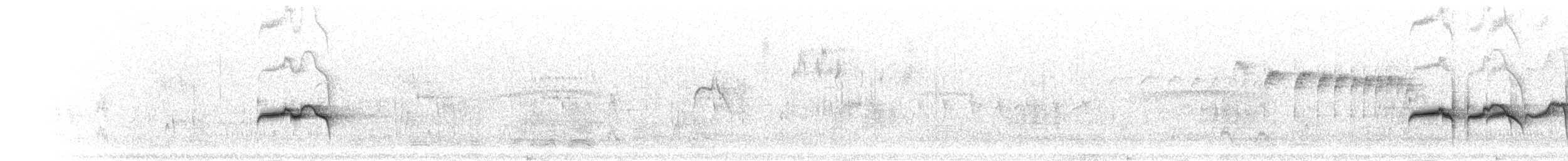 Strichelrücken-Ameisenfänger - ML301514