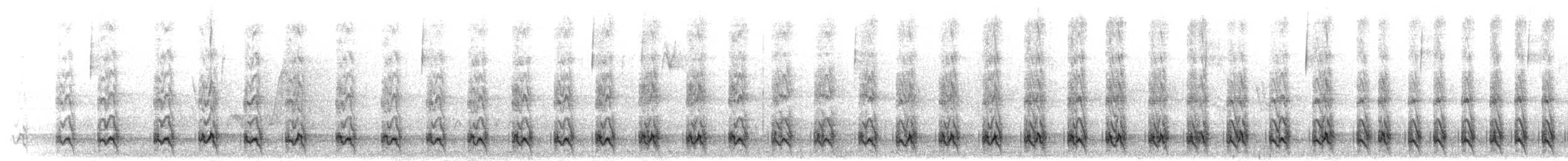 Tropfenfalke - ML301523