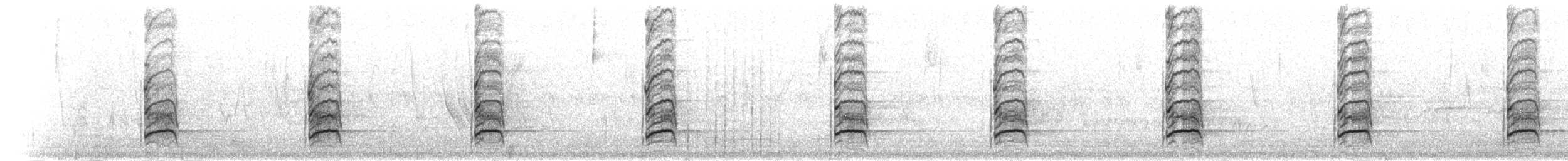 sokolík kropenatý - ML301525