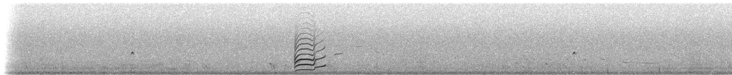 Светлобрюхая монашка - ML301553