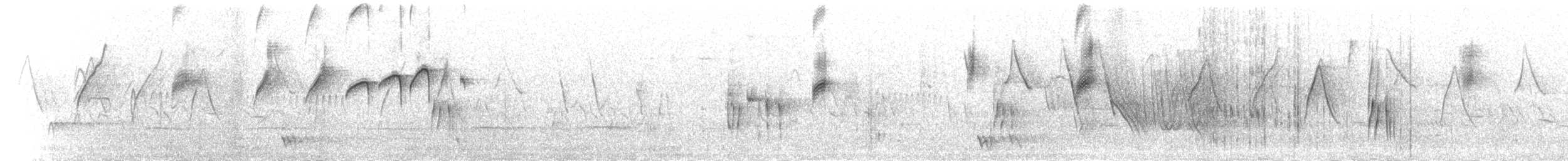 Siyah Taçlı Tiran - ML301557