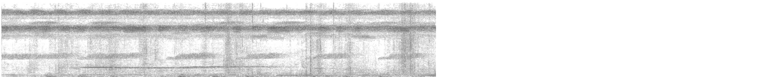 Variegated Tinamou - ML301565931