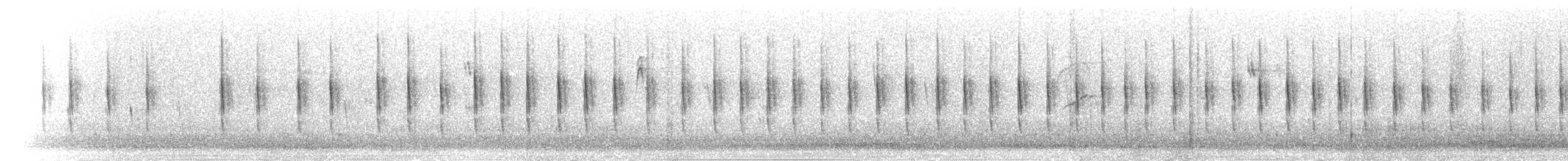 Damalı Sepetören [sclateri grubu] - ML301597