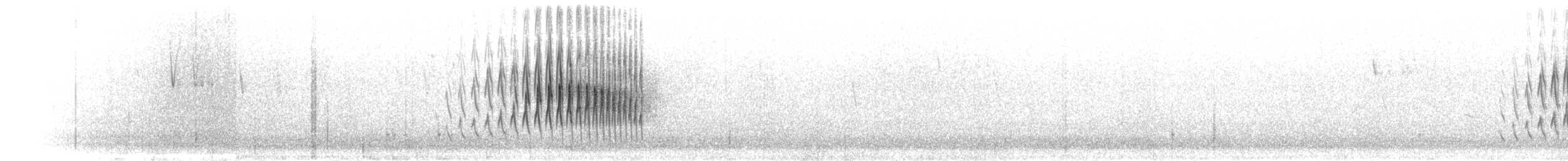 Damalı Sepetören [sclateri grubu] - ML301598