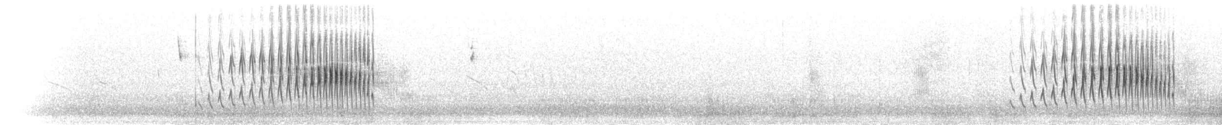 Damalı Sepetören [sclateri grubu] - ML301599