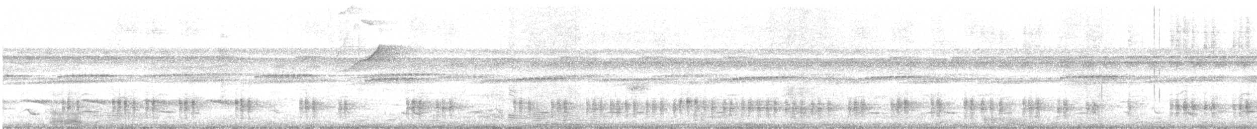 auroraskjeggfugl - ML301628711
