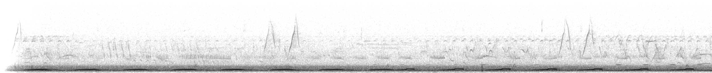 holoubek pikui - ML301636