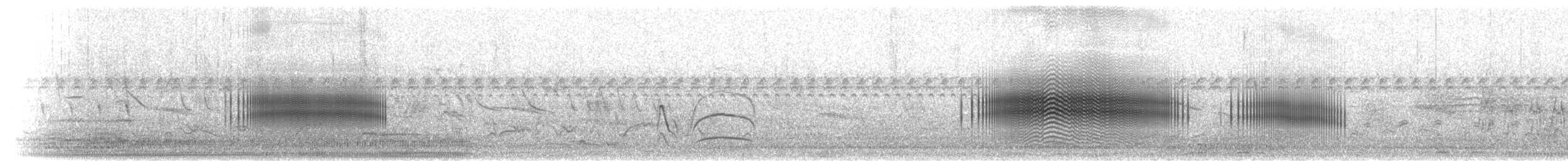 White-tipped Plantcutter - ML301668