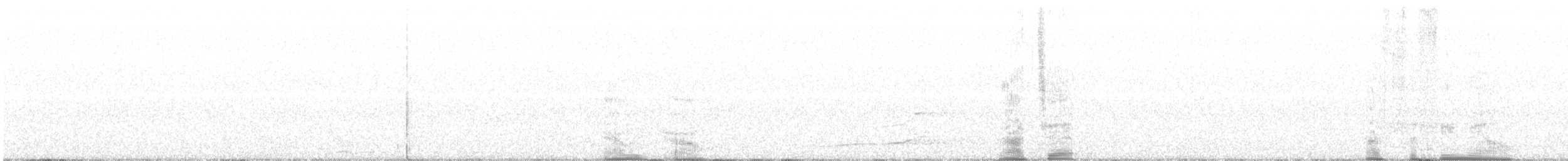Сова плямиста - ML301689191