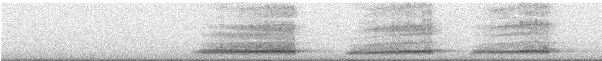 Western Barn Owl - ML301733691