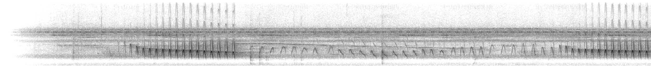 White-flanked Antwren (White-flanked) - ML301795