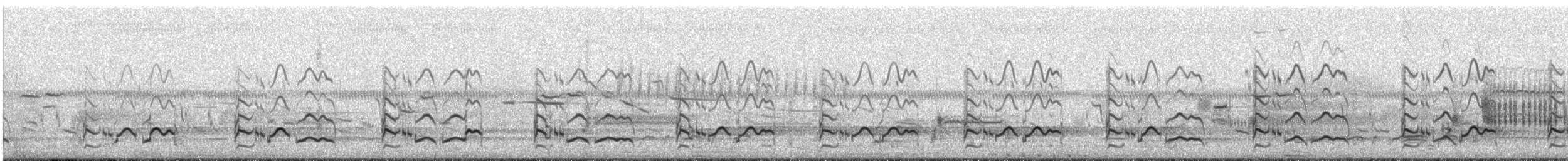 Schlammtreter - ML301795511