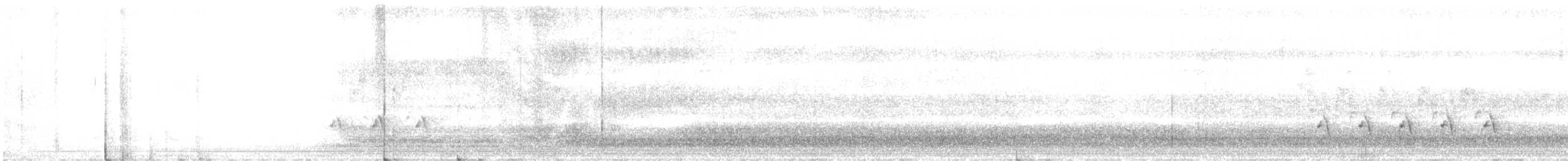 Поплітник каролінський - ML301797851