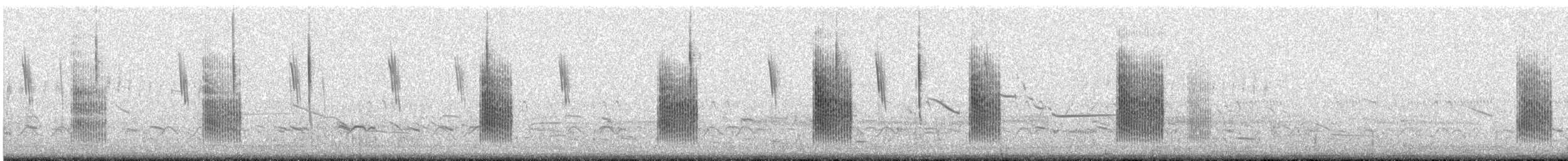 Seggenzaunkönig - ML301800581