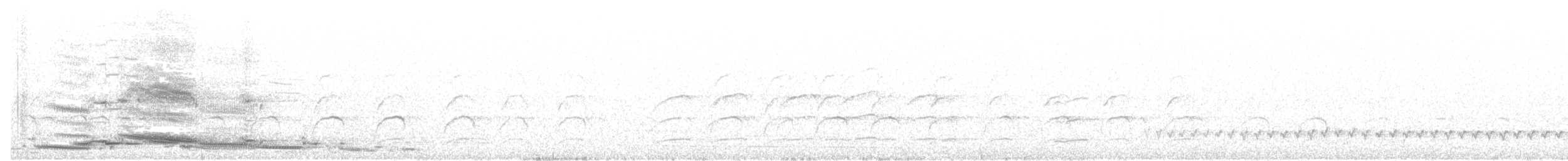 Flötenkrähenstar [tibicen-Gruppe] - ML30182951