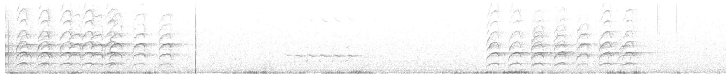 Weißstirn-Schwatzvogel - ML30183031