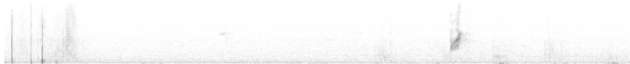 Міагра білогорла - ML30183091