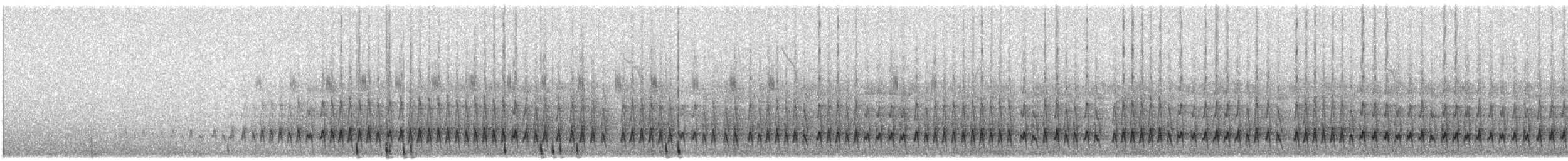 コオニキバシリ（meruloides グループ） - ML301831181