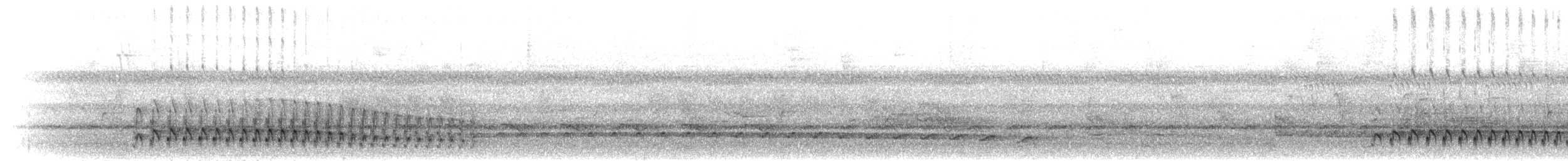 ウスグロアリドリ（saturatior／vicina） - ML301840