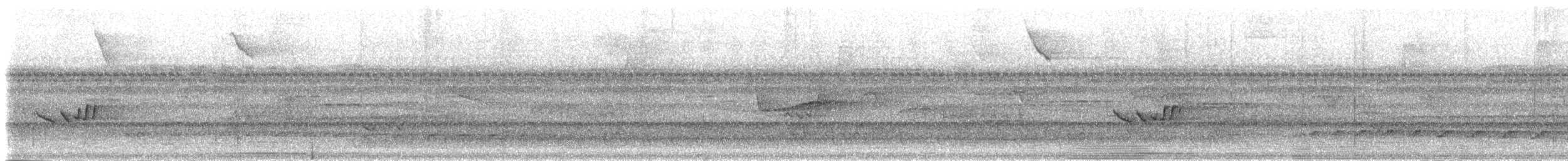 Тиран-малюк гвіанський - ML301843