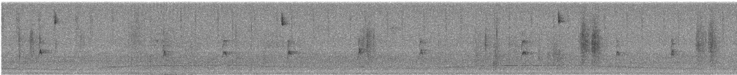 Пятнистый тохи (arcticus) - ML301881221