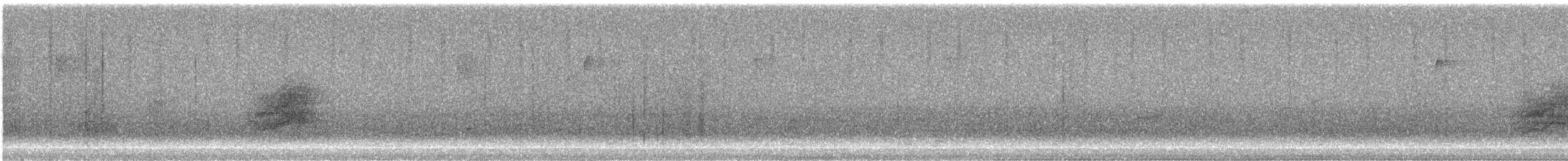 Тауї плямистий (підвид arcticus) - ML301881231