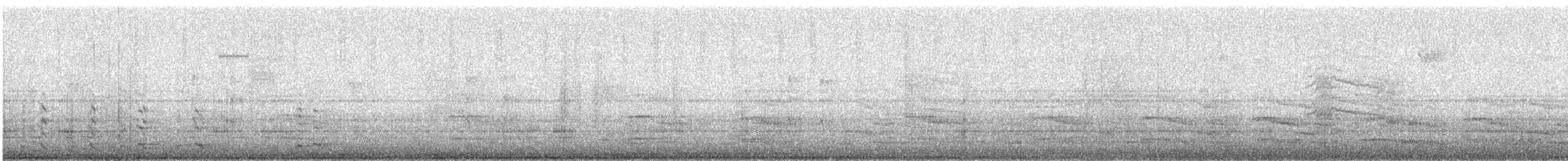 Пересмішник сірий - ML301881581