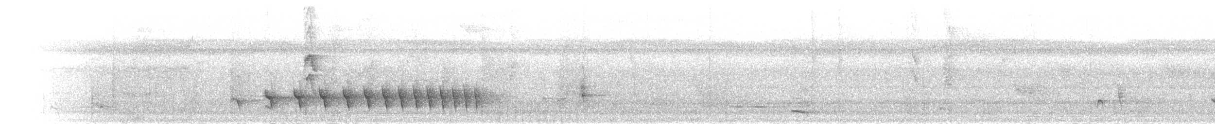 Spot-tailed Antwren - ML301886
