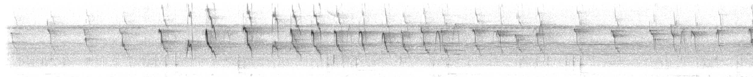 Vencejo de Chapman - ML301897