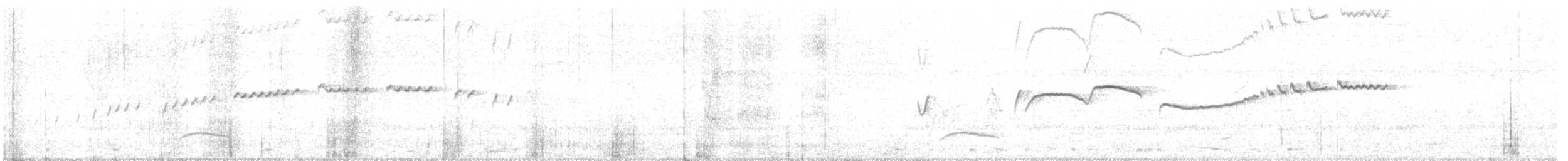 Bécarde à nuque blanche - ML301914571