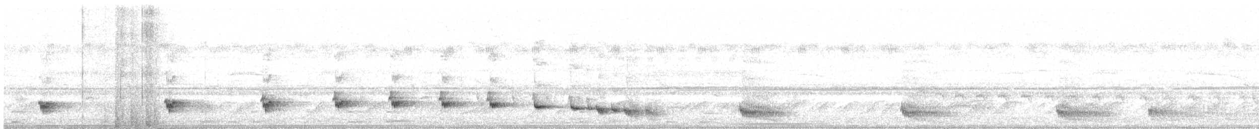 Tinamou à petit bec - ML301920721