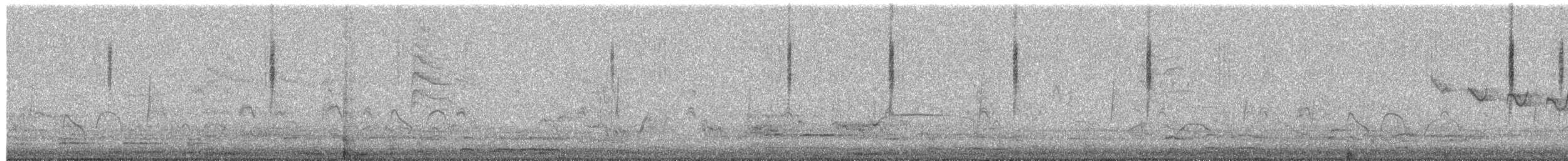 Dusky Hummingbird - ML301922981