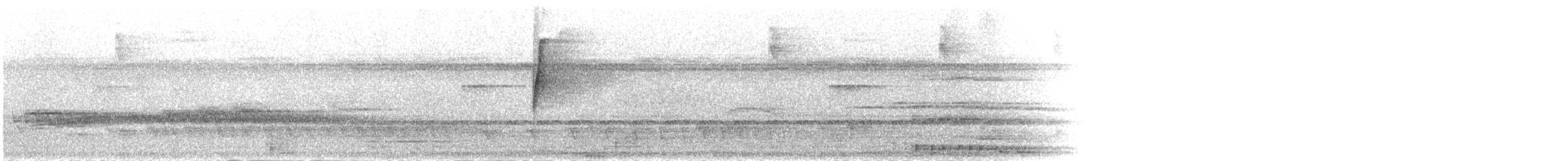 Uzun Kuyruklu Hermit - ML301936