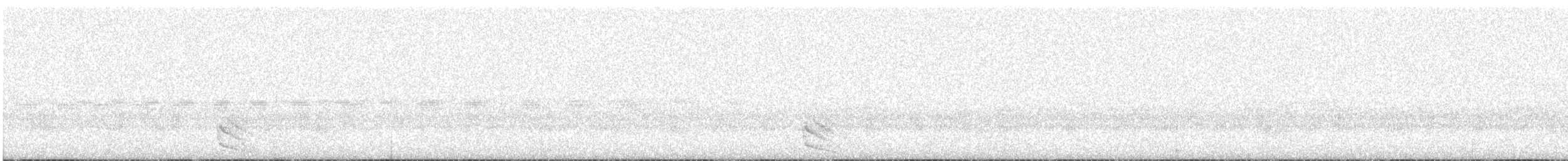 Australian Owlet-nightjar - ML301941401