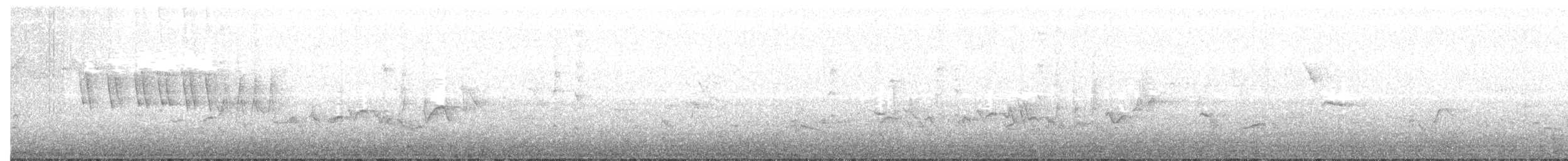 Paruline à calotte noire - ML30194661