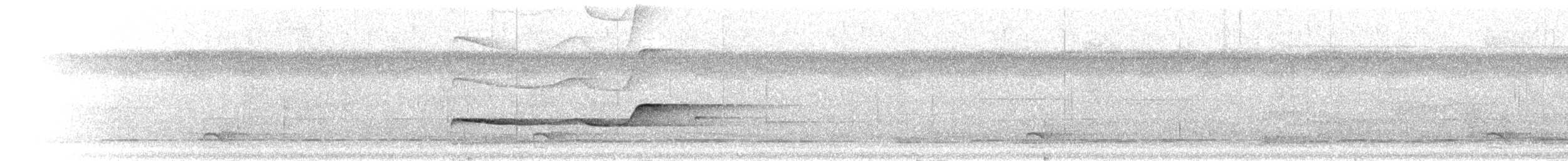 Olivaceous Schiffornis - ML301948