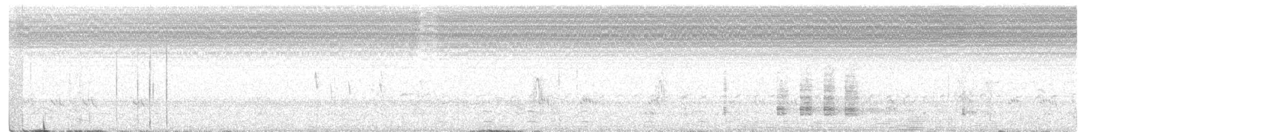 Austral-Schlangenhalsvogel - ML301951921