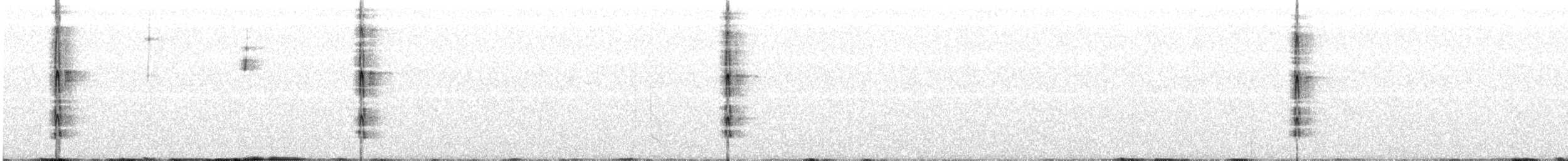 Ladder-backed Woodpecker - ML301957571