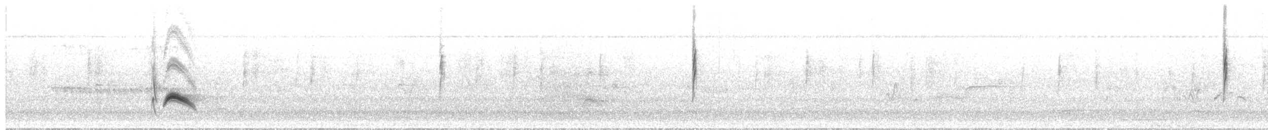 Cassin's Kingbird - ML301965981