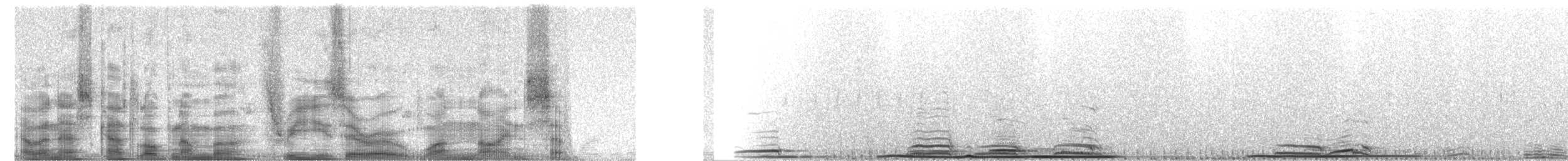 Sharp-tailed Grouse x Greater Prairie-Chicken (hybrid) - ML30197