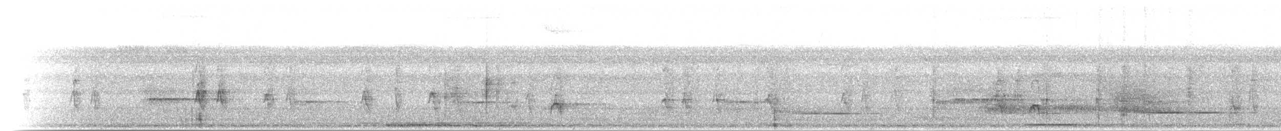 White-flanked Antwren (White-flanked) - ML301996