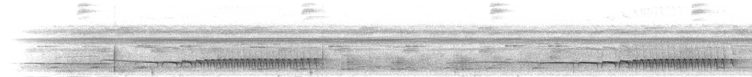 Curve-billed Scythebill - ML302022