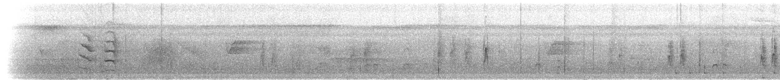 White-flanked Antwren (White-flanked) - ML302068