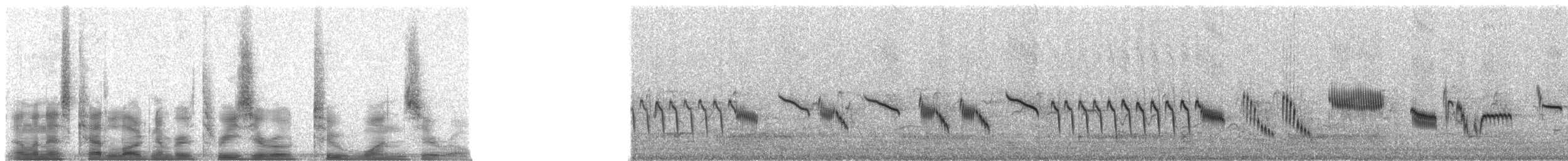 歐亞雲雀(arvensis群) - ML30210