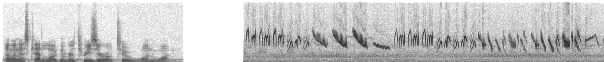 歐亞雲雀(arvensis群) - ML30211