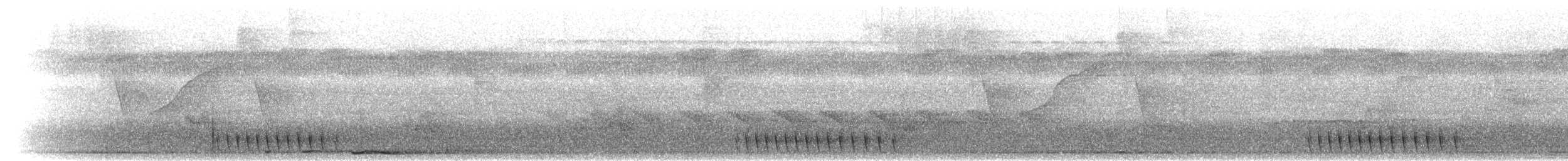 trogon guyanský - ML302124