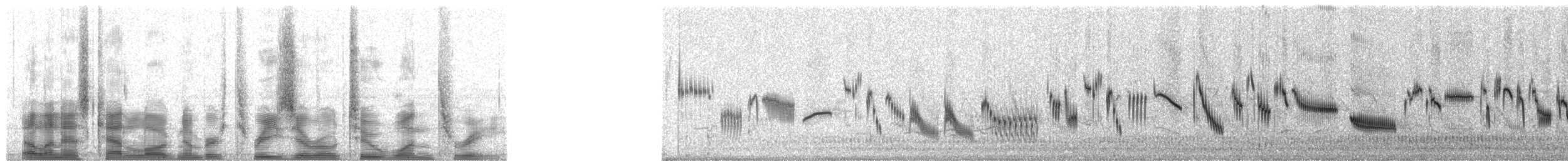 歐亞雲雀(arvensis群) - ML30213