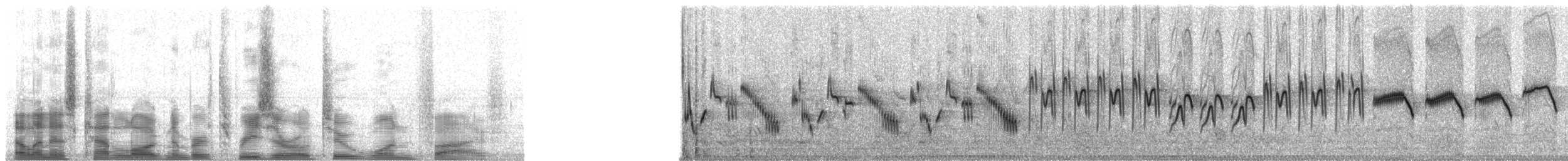 歐亞雲雀(arvensis群) - ML30215