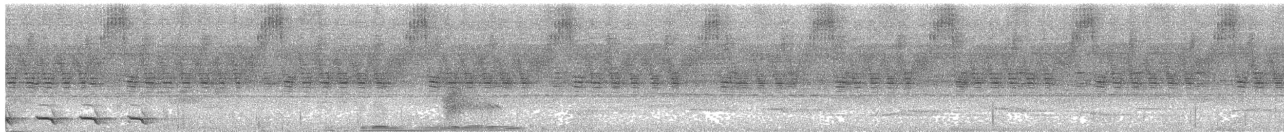 Trogon à queue blanche - ML302175701