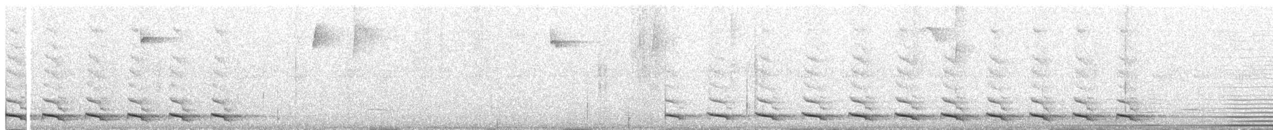 Trogon à queue blanche - ML302175711